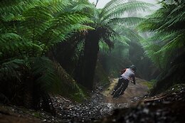 Movies For Your Monday – Jackson Goldstone, Brandon Semenuk, Jesse Melamed, Brad Simms, Jaws, & More