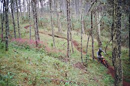 Video: How The Hell Did I End Up Here? – Race Report from the TranSierra Norte 2023