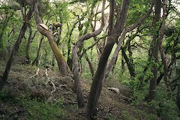 Video: Christian Rigal Gets Rad on His eMTB