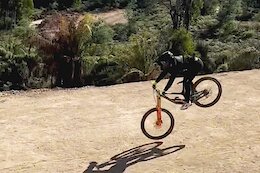Social Round Up: More Big Hits from Red Bull Hardline Tasmania 2024
