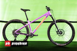 Value Field Test: Haro Saguaro – The Pink Anvil