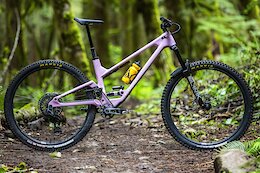 Review: Forbidden Druid – Travel is Just a Number