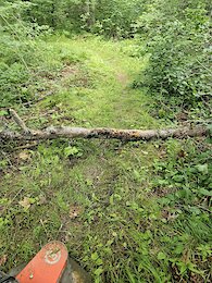 report photo