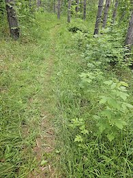 report photo