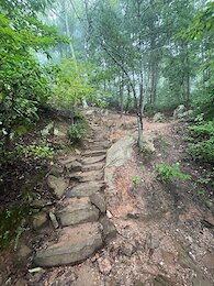 report photo