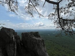 report photo