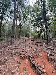 report photo