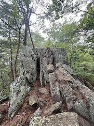 report photo