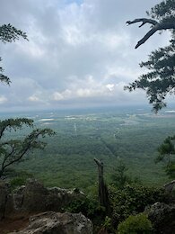 report photo