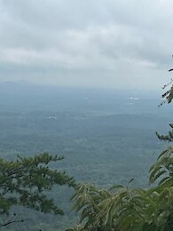 report photo
