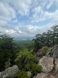 report photo