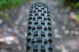 First Ride: Schwalbe’s New Albert Gravity Pro Tires Use a Radial Casing for Improved Grip