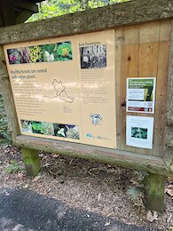 report photo