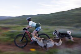 Review: The Adventure Dog Channel - Training the U