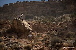 Replay: Men’s Finals at Red Bull Rampage 2024