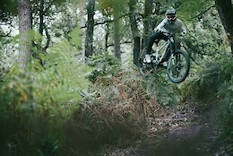 Video: William Robert Flows Through the Fontainebleau Ferns in ‘Fire Ferns’