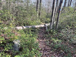 report photo