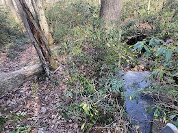 report photo