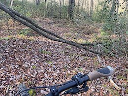 report photo