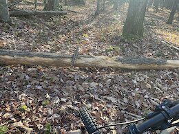 report photo