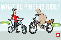 Pinkbike’s 2024 Community Survey: What Bikes Do Pinkbike Readers Ride?