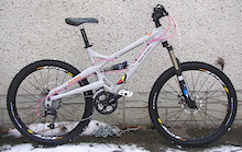 Project: Wife's Bike