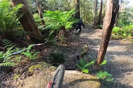 Video: Red Bull Hardline Tasmania Testing POV