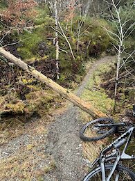 report photo