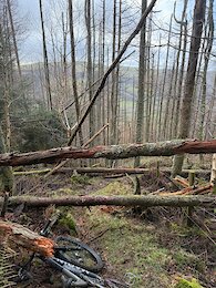 report photo