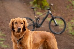 9 Things I Loved in 2025: Stephane Pelletier