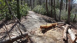 report photo