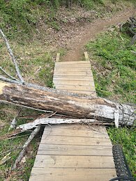 report photo