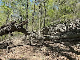 report photo