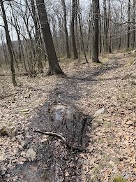 report photo