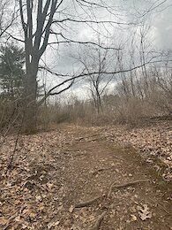 report photo