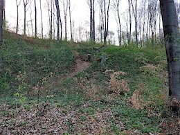 report photo