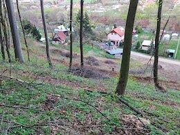 report photo