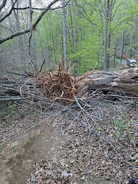report photo