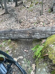 report photo