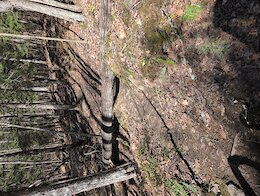 report photo