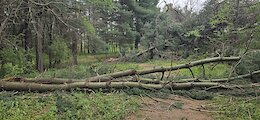 report photo