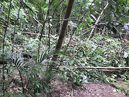 report photo