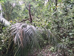 report photo
