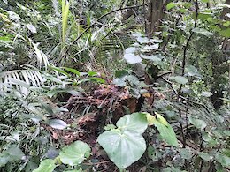 report photo