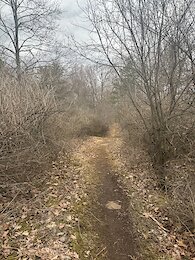 report photo