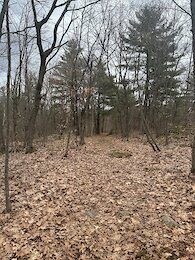 report photo