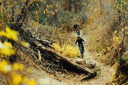 Help Protect Colorado’s Lefthand OHV Area &amp; 