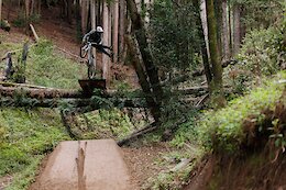 MUST WATCH: Brandon Semenuk Blends Effortless Style & Myth in California Redwoods