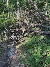 report photo