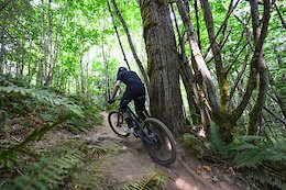 Pinkbike Poll: How Many Days Did You Ride in 2025?